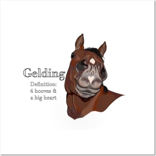 Bay Gelding Posters and Art